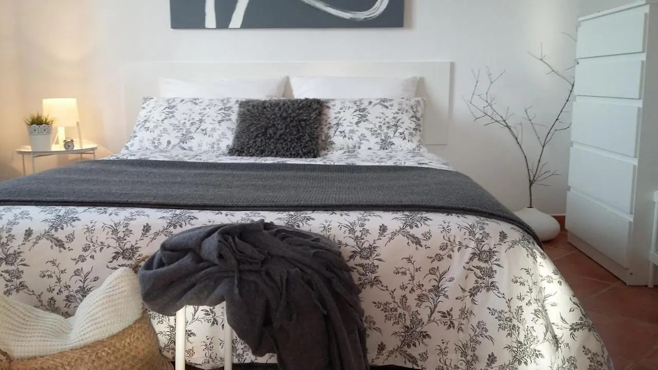 Zara Apartment Banjole Croazia